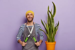 How Do We Prune a Snake Plant Safely? – Step By Step Guide