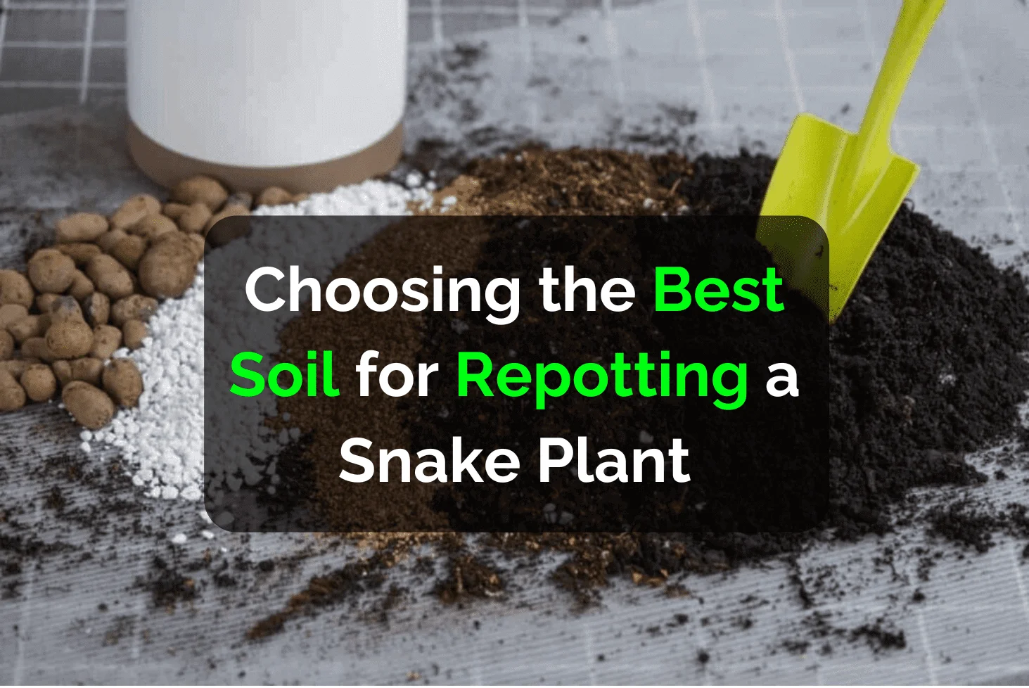 Choosing the Best Soil for Repotting a Snake Plant