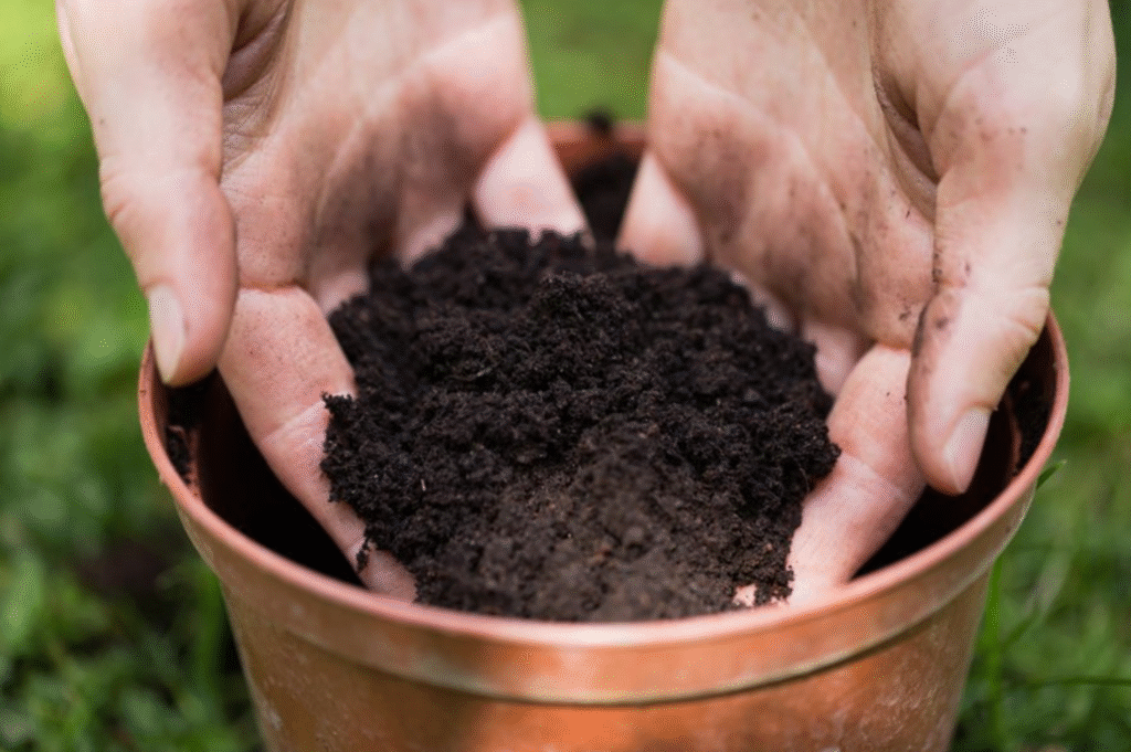 How to Make Potting Soil for Jade Plant (Complete DIY Guide)